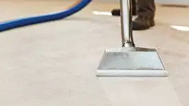 Carpet cleaning wand head gliding over a light carpet during hot-water extraction, Lakewood, CO.