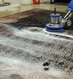 Professional rug cleaning with a rotary floor machine and shampoo foam, deep-cleaning an area rug Lakewood, CO.