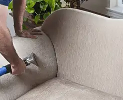 Professional upholstery cleaner deep-cleaning a fabric sofa with a handheld extraction tool and hose in Lakewood, CO.